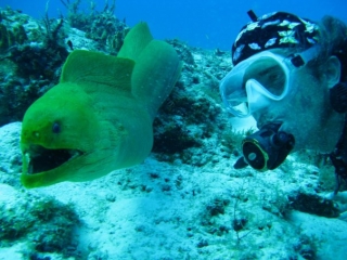Aventuras bajo el mar